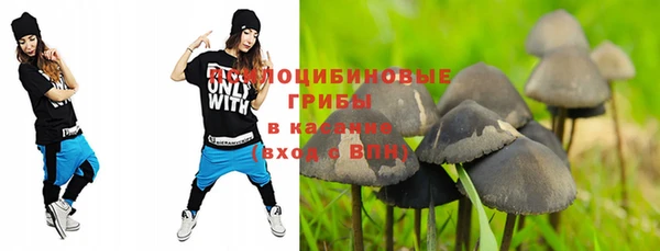ПСИЛОЦИБИНОВЫЕ ГРИБЫ Абинск