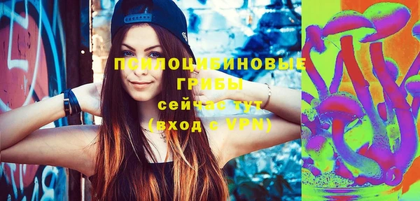 твердый Пересвет