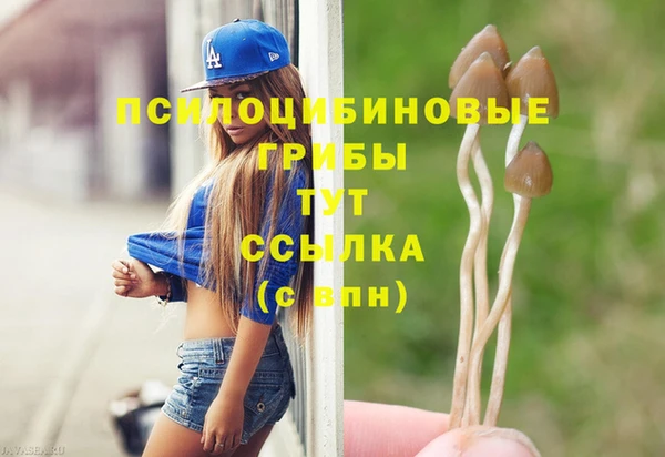 мяу мяу мука Алексеевка