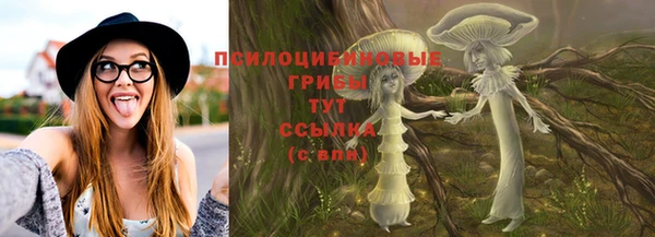 таблы Алзамай