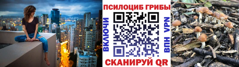 Псилоцибиновые грибы Cubensis  Луза 
